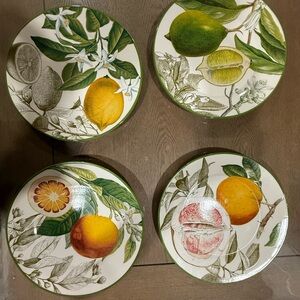 Williams Sonoma Citrus Botanical Dinner Plates